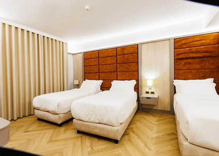 菲艾利酒店 费里